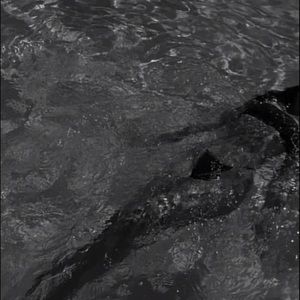 Meet your Posher, Raquel